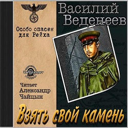 Взять свой камень — Василий Веденеев. Слушать аудиокнигу онлайн