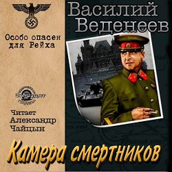 Камера смертников — Василий Веденеев. Слушать аудиокнигу онлайн